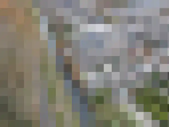Paardebloemweg 2 Zoeterwoude thumbnail 27