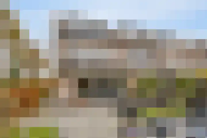 Paardebloemweg 2 Zoeterwoude thumbnail 28
