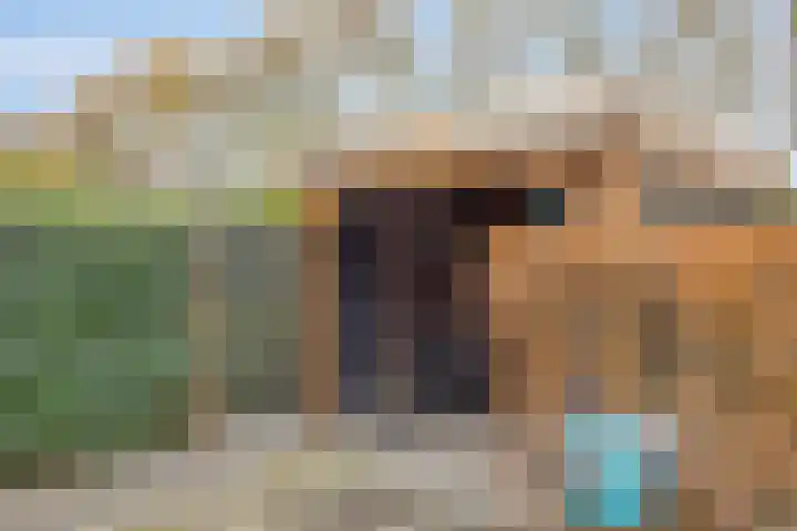 Paardebloemweg 2 Zoeterwoude thumbnail 30