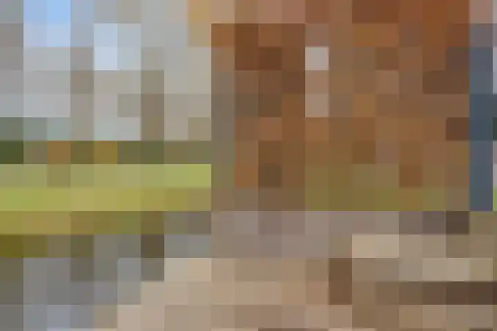 Paardebloemweg 2 Zoeterwoude thumbnail 31