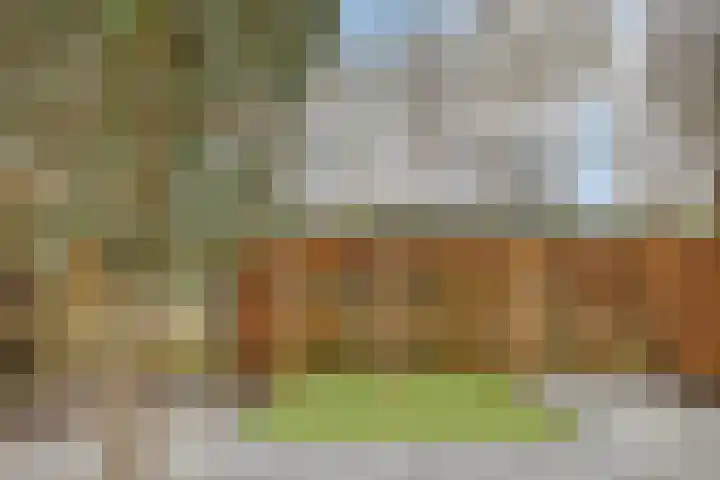 Paardebloemweg 2 Zoeterwoude thumbnail 32