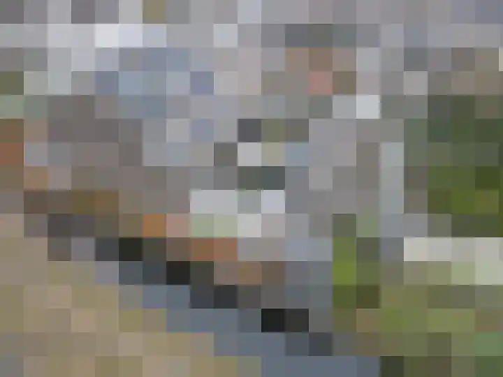 Paardebloemweg 2 Zoeterwoude thumbnail 33