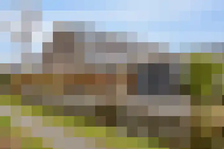 Paardebloemweg 2 Zoeterwoude thumbnail 34