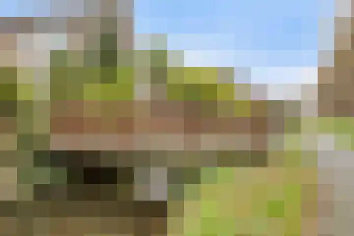 Paardebloemweg 2 Zoeterwoude thumbnail 35
