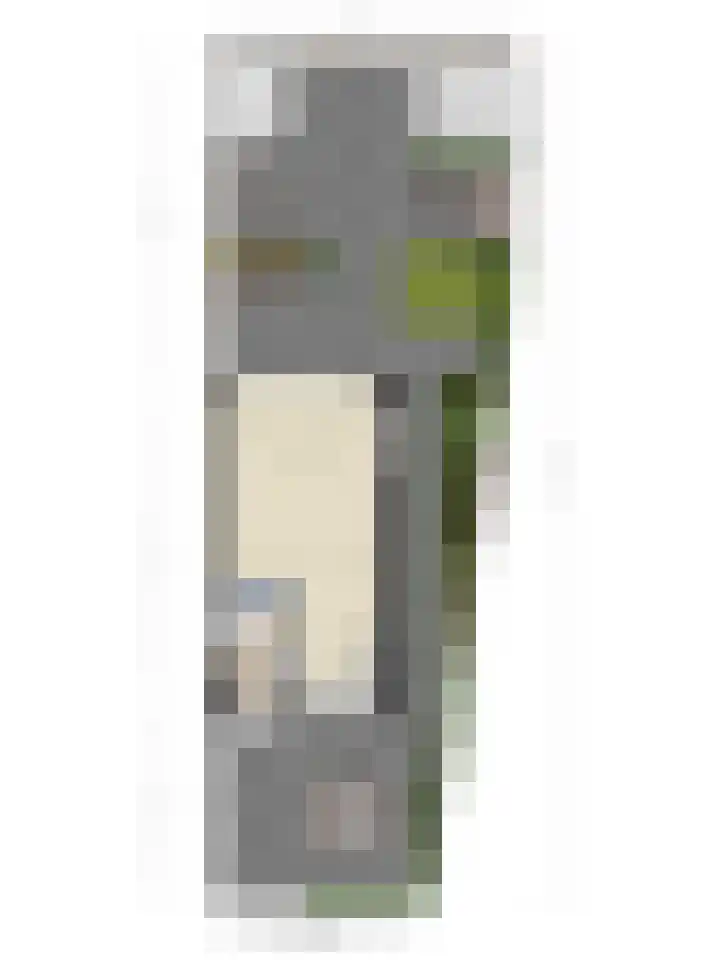 Paardebloemweg 2 Zoeterwoude thumbnail 36