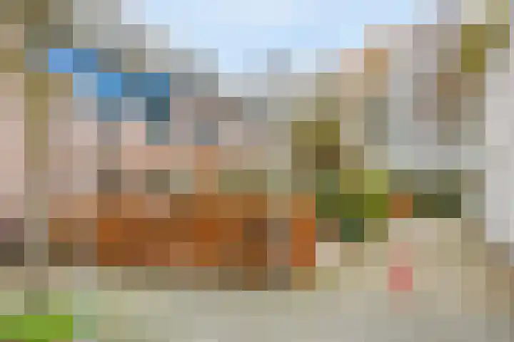 Paardebloemweg 2 Zoeterwoude thumbnail 5