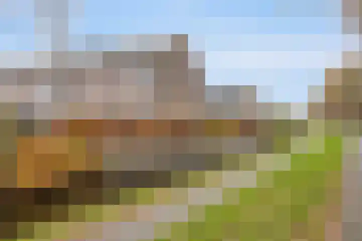 Paardebloemweg 2 Zoeterwoude thumbnail 6