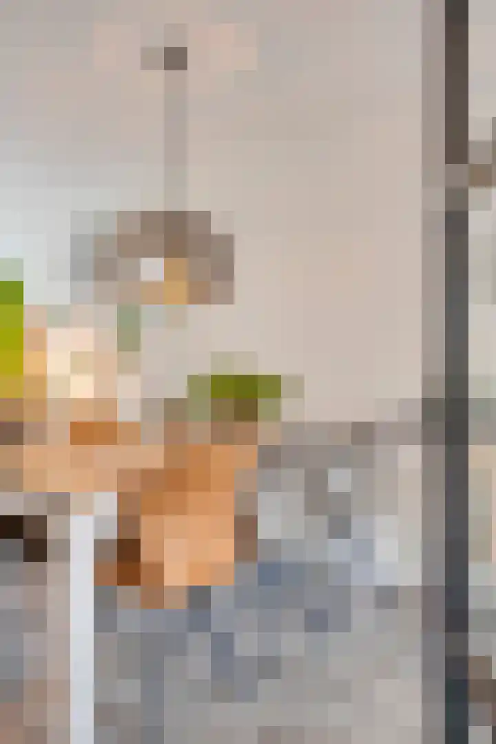 Paardebloemweg 2 Zoeterwoude thumbnail 8