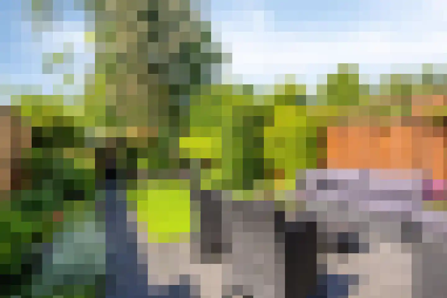 Paardebloemweg 9 Zoeterwoude thumbnail 15
