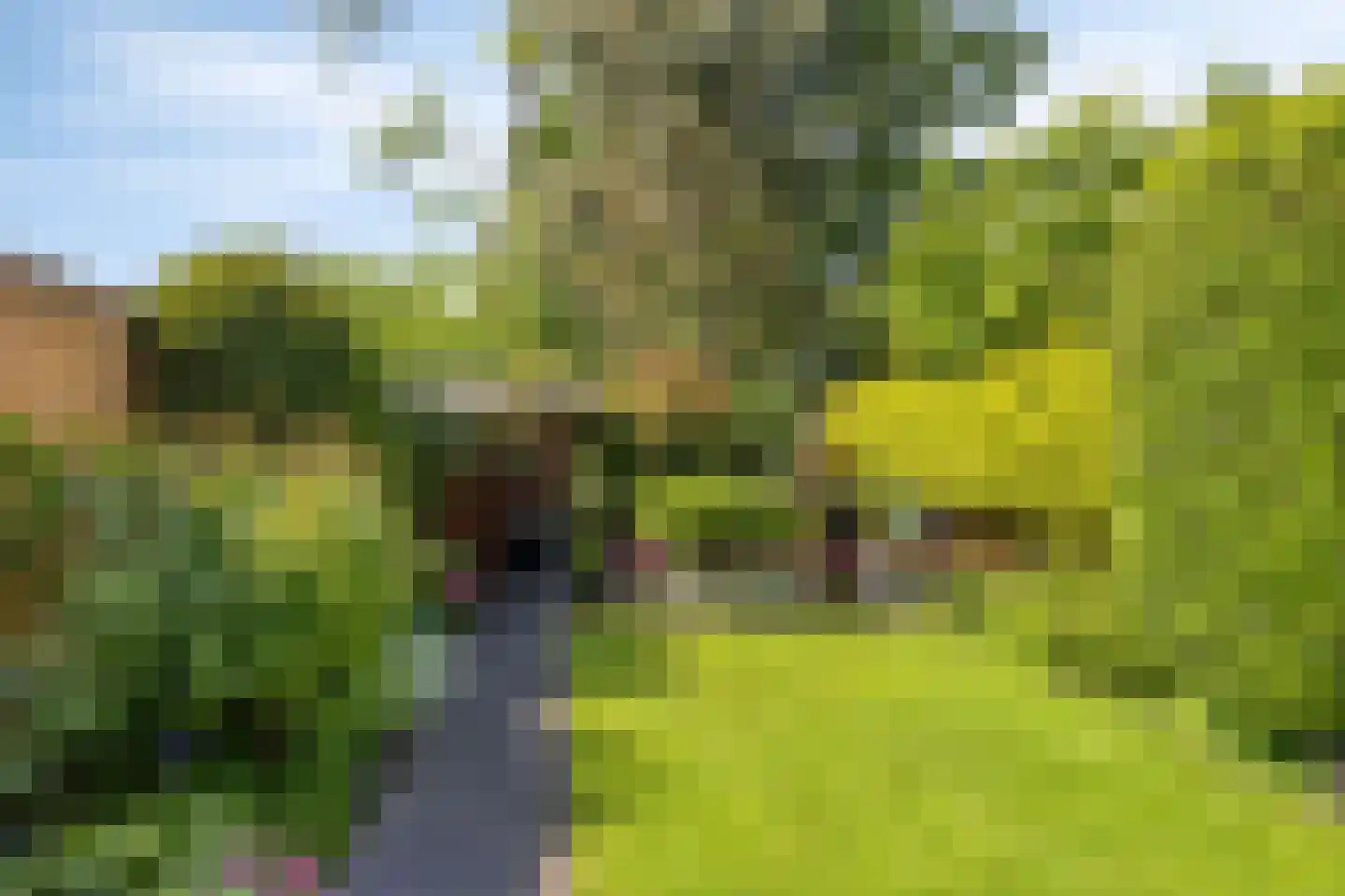 Paardebloemweg 9 Zoeterwoude thumbnail 16