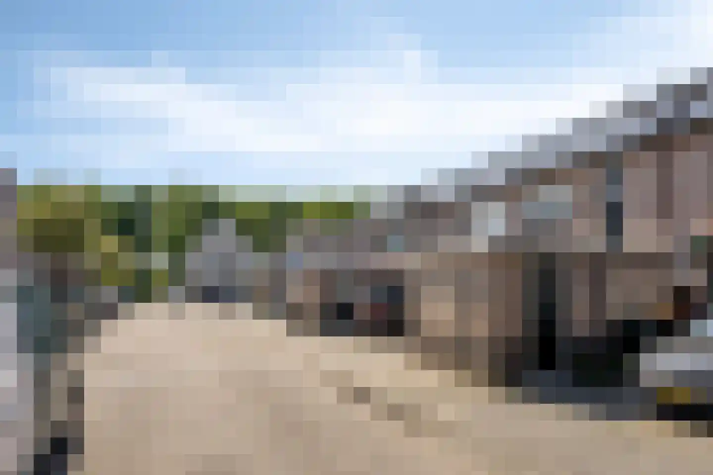 Paardebloemweg 9 Zoeterwoude thumbnail 4