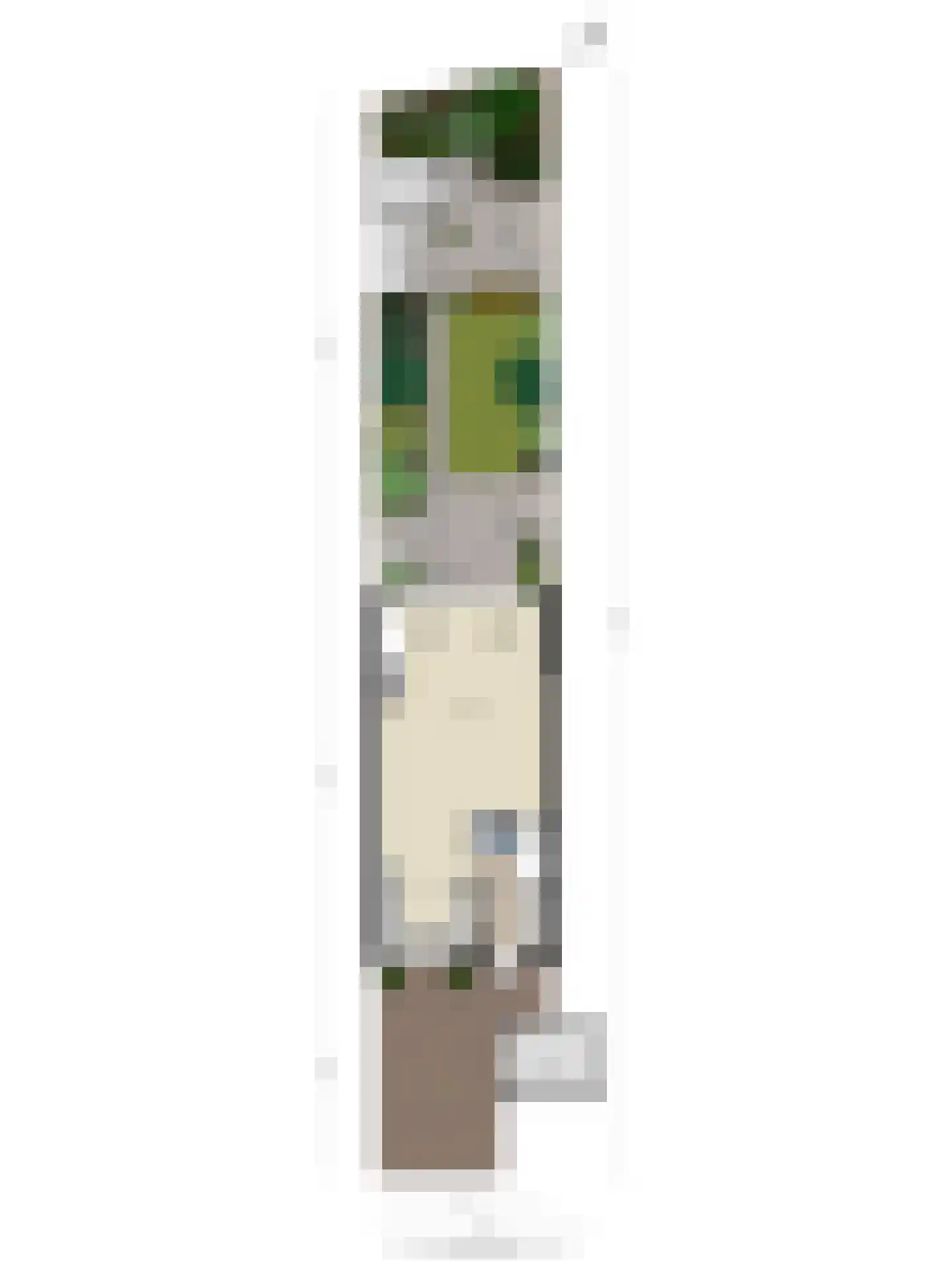 Paardebloemweg 9 Zoeterwoude thumbnail 43