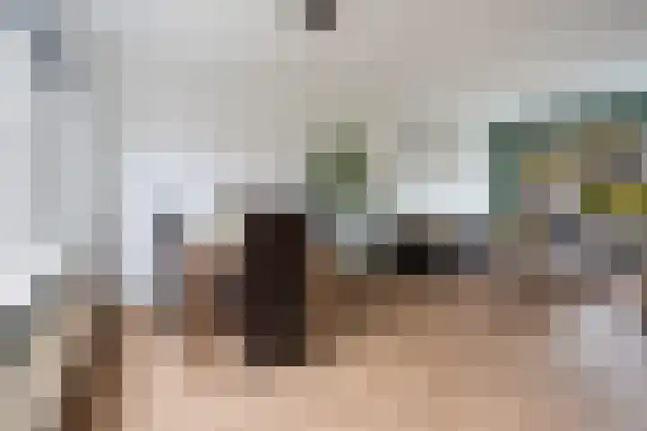 Paardebloemweide 1 Woerden thumbnail 13