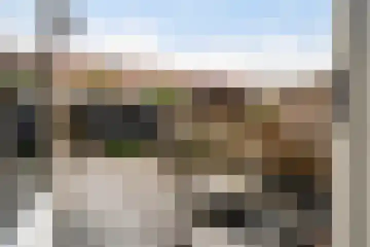Paardebloemweide 1 Woerden thumbnail 20
