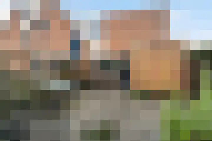 Paardebloemweide 1 Woerden thumbnail 24