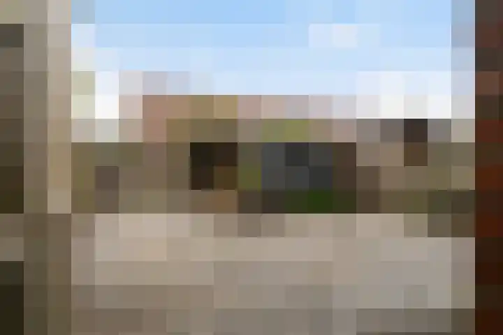 Paardebloemweide 1 Woerden thumbnail 26
