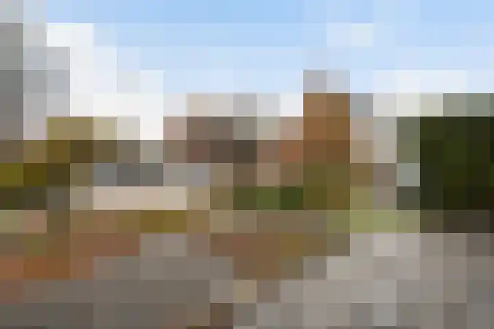 Paardebloemweide 1 Woerden thumbnail 27