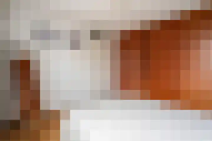 Paardebloemweide 1 Woerden thumbnail 31