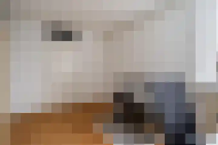 Paardebloemweide 1 Woerden thumbnail 32