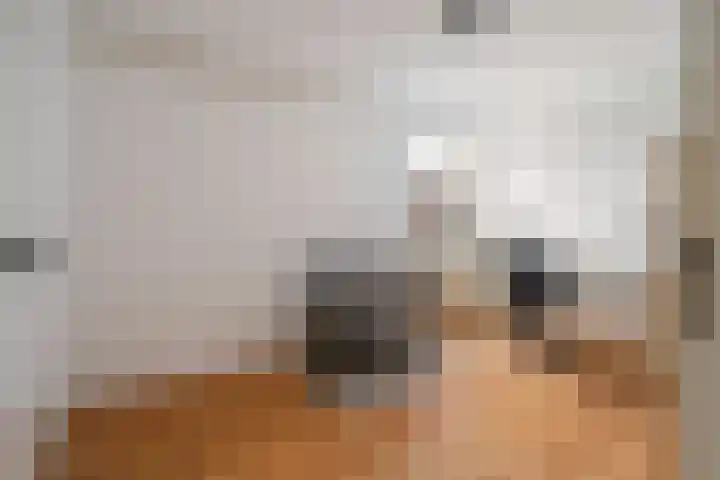 Paardebloemweide 1 Woerden thumbnail 33
