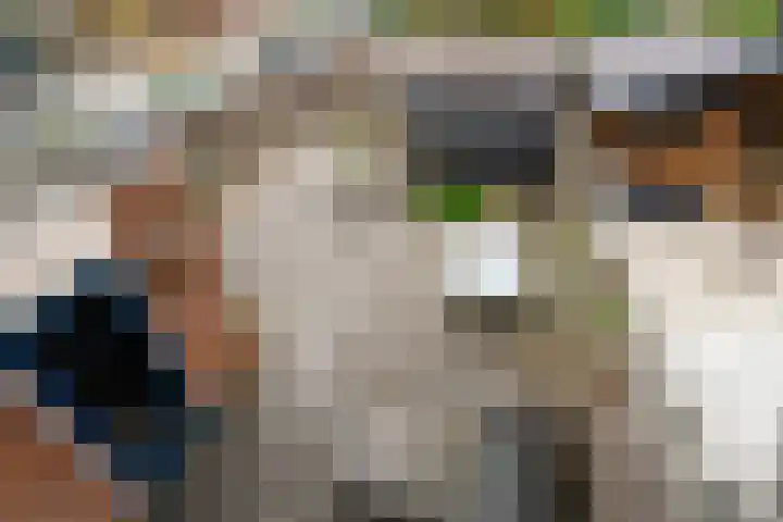 Paardebloemweide 1 Woerden thumbnail 37