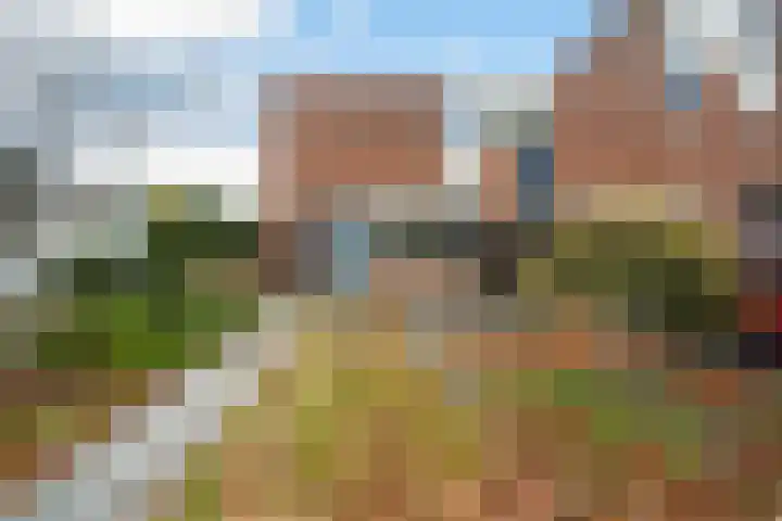 Paardebloemweide 1 Woerden thumbnail 4