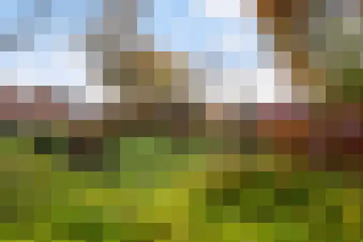 Paardebloemweide 1 Woerden thumbnail 41