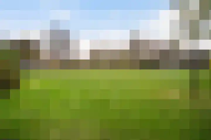 Paardebloemweide 1 Woerden thumbnail 45