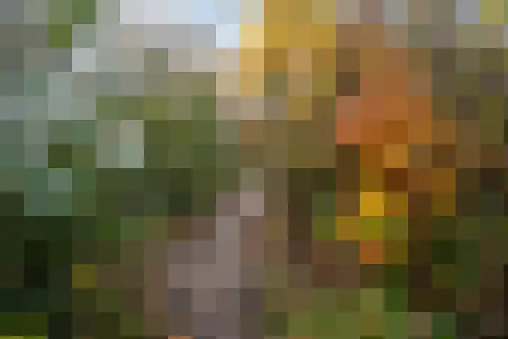 Paardebloemweide 1 Woerden thumbnail 46