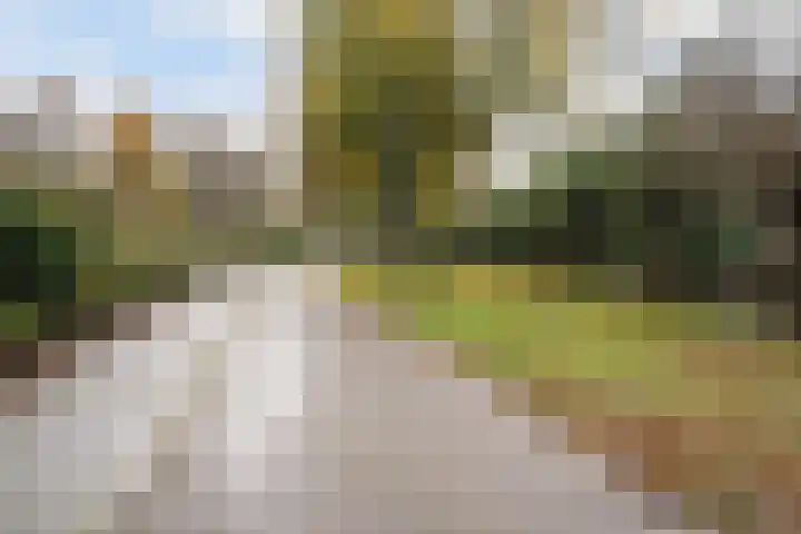 Paardebloemweide 1 Woerden thumbnail 47