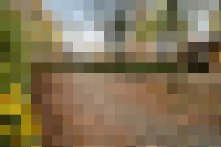 Paardebloemweide 1 Woerden thumbnail 48