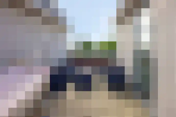 Paardenakker 21 Wormer thumbnail 23