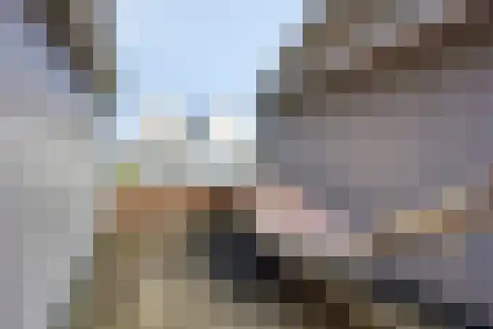 Paardenakker 21 Wormer thumbnail 24