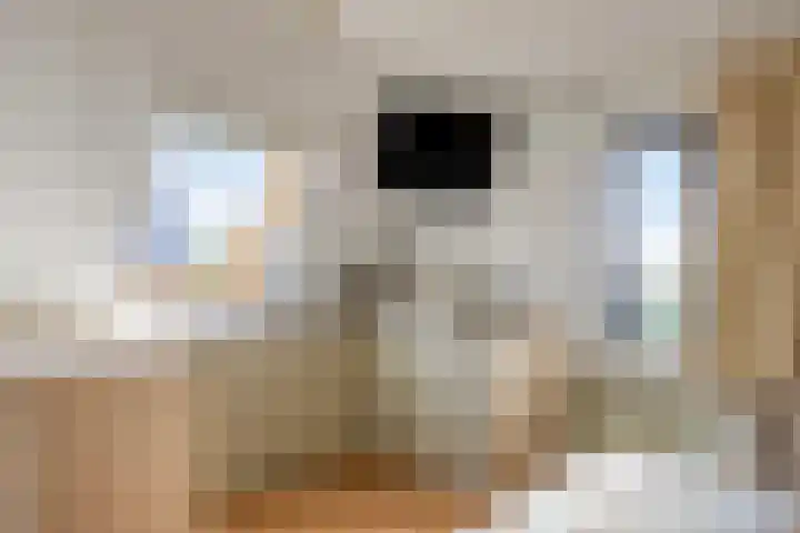 Paardenakker 21 Wormer thumbnail 29