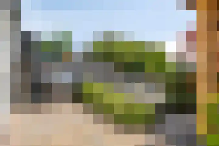 Paardenakker 21 Wormer thumbnail 31