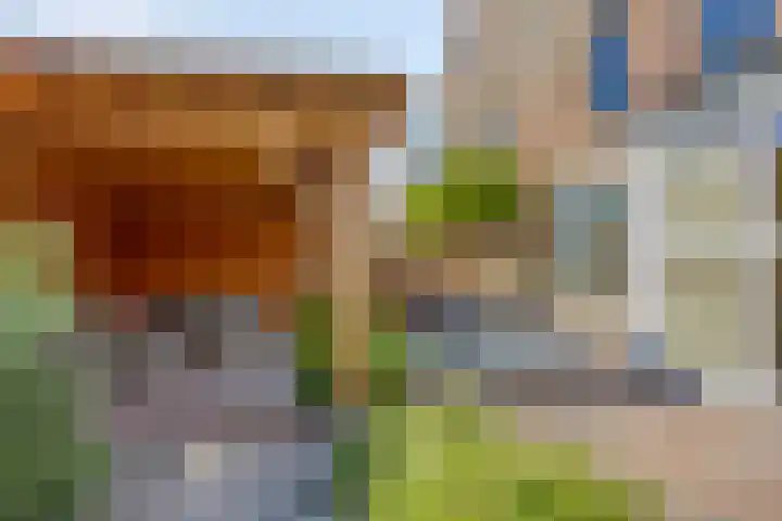 Paardenakker 21 Wormer thumbnail 32