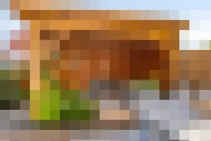 Paardenakker 21 Wormer thumbnail 34