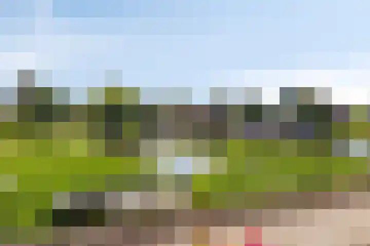 Paardenakker 21 Wormer thumbnail 37