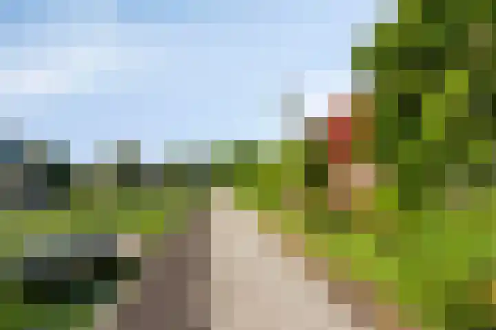 Paardenakker 21 Wormer thumbnail 39