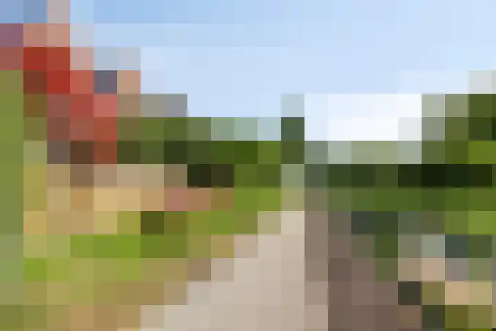 Paardenakker 21 Wormer thumbnail 40