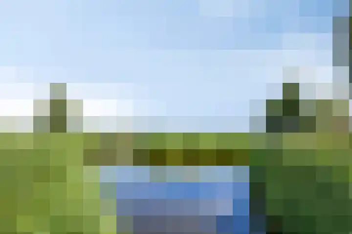 Paardenakker 21 Wormer thumbnail 41
