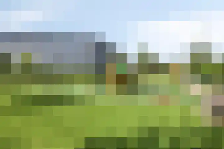 Paardenakker 21 Wormer thumbnail 42