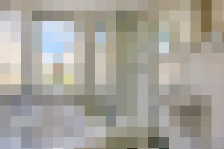 Paardenakker 21 Wormer thumbnail 5