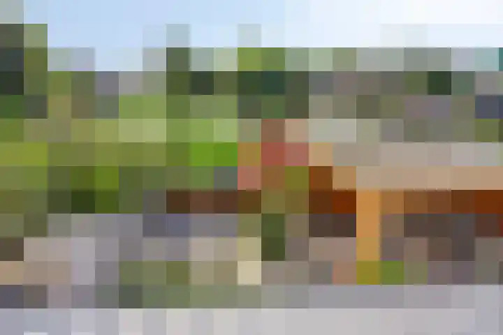 Paardenakker 21 Wormer thumbnail 6