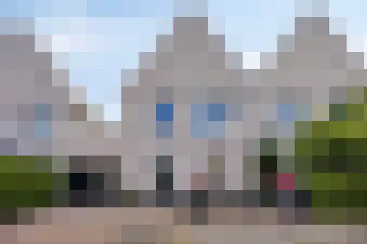Paardenakker 21 Wormer thumbnail 7