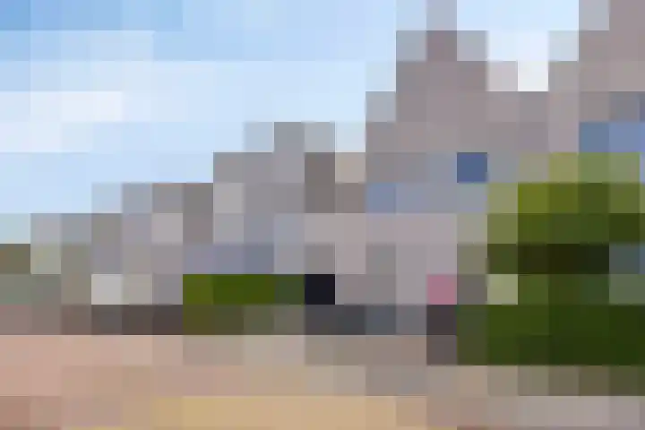 Paardenakker 21 Wormer thumbnail 8
