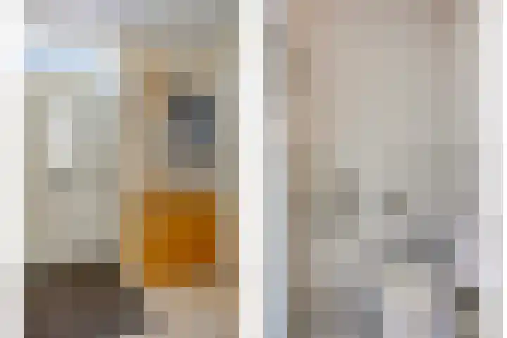 Paardenakker 21 Wormer thumbnail 9