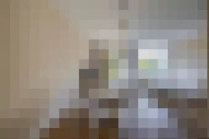 Paardenakker 22 Wormer thumbnail 16