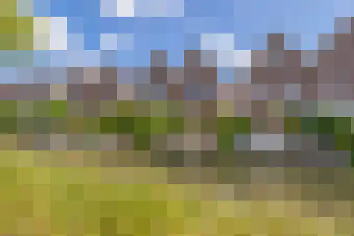 Paardenakker 22 Wormer thumbnail 36