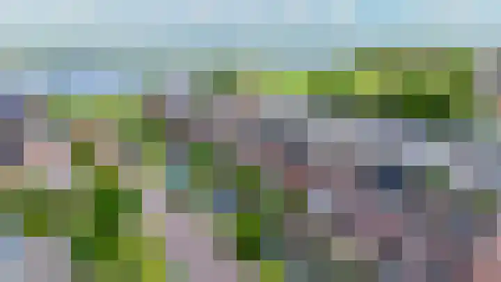 Paardenakker 22 Wormer thumbnail 37